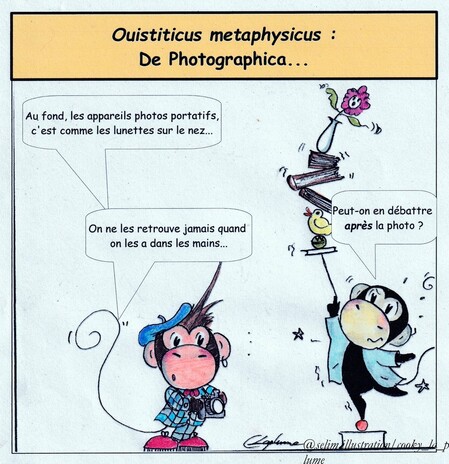 La Minute "Photographie"